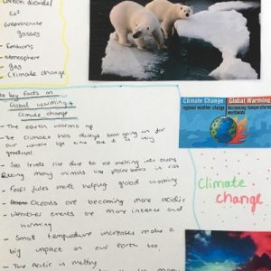 Climate Change poster
