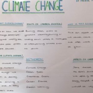 Climate change poster 3
