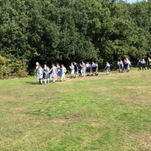 Year 5 and 5
