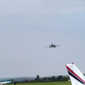 IMG 6190
