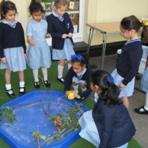 Students in a water pond