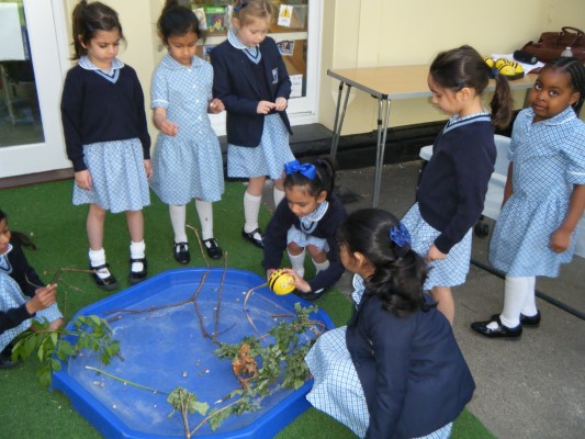Students in a water pond