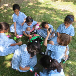 Group of students on the grass